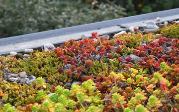 the cost of West Moor green roof installation